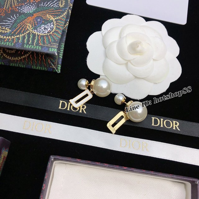 Dior專櫃爆款耳環 迪奧2022年新品原單貨CD耳環 zgb1509